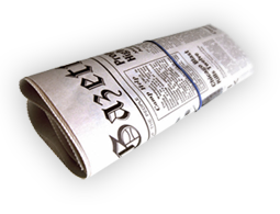 Newspaper